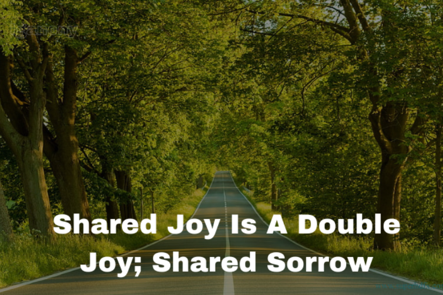 shared joy is a double joy; shared sorrow is tymoff